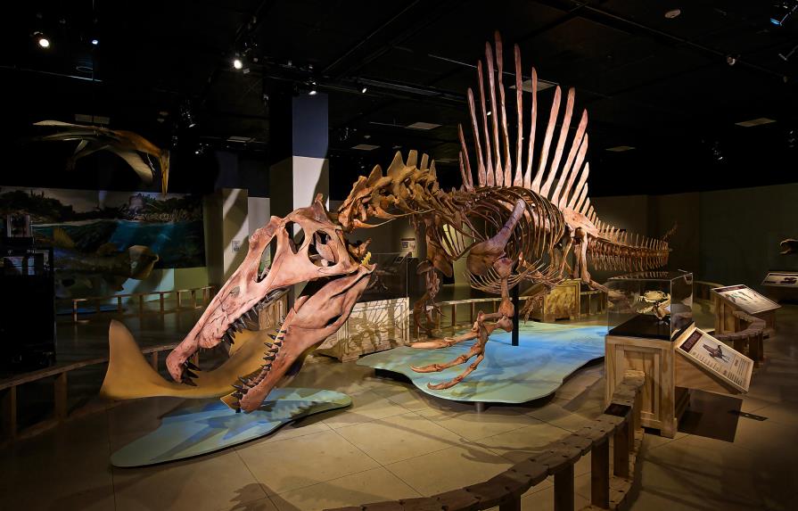 El Museo de Historia Natural de Berlín rastrea el ecosistema del Spinosaurus
