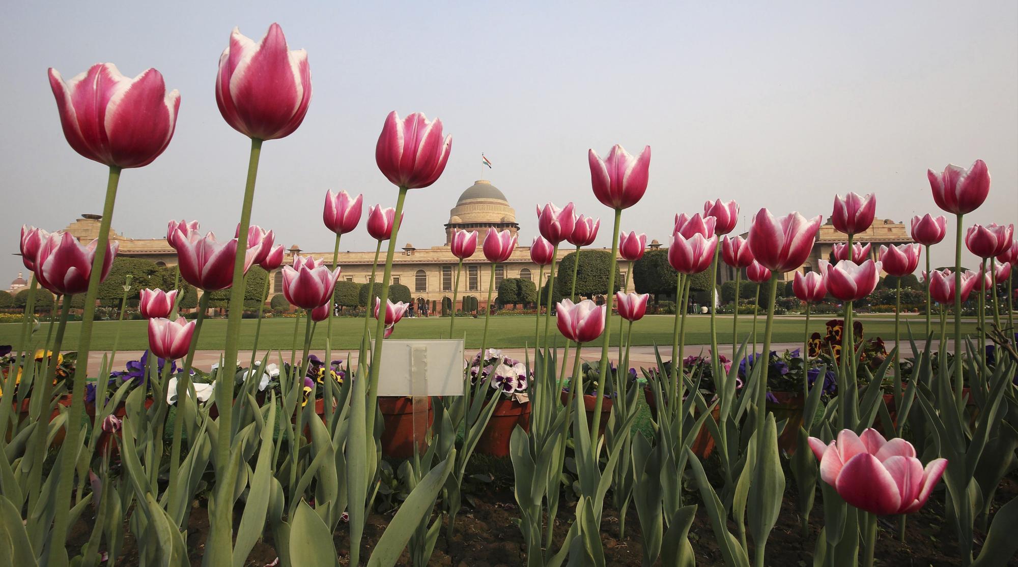 Los Jardines de Mughal abrirán sus puertas en India