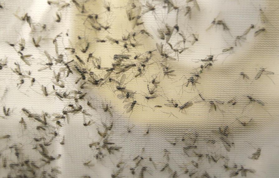 Detectan 32 nuevos casos sospechosos de zika en el país