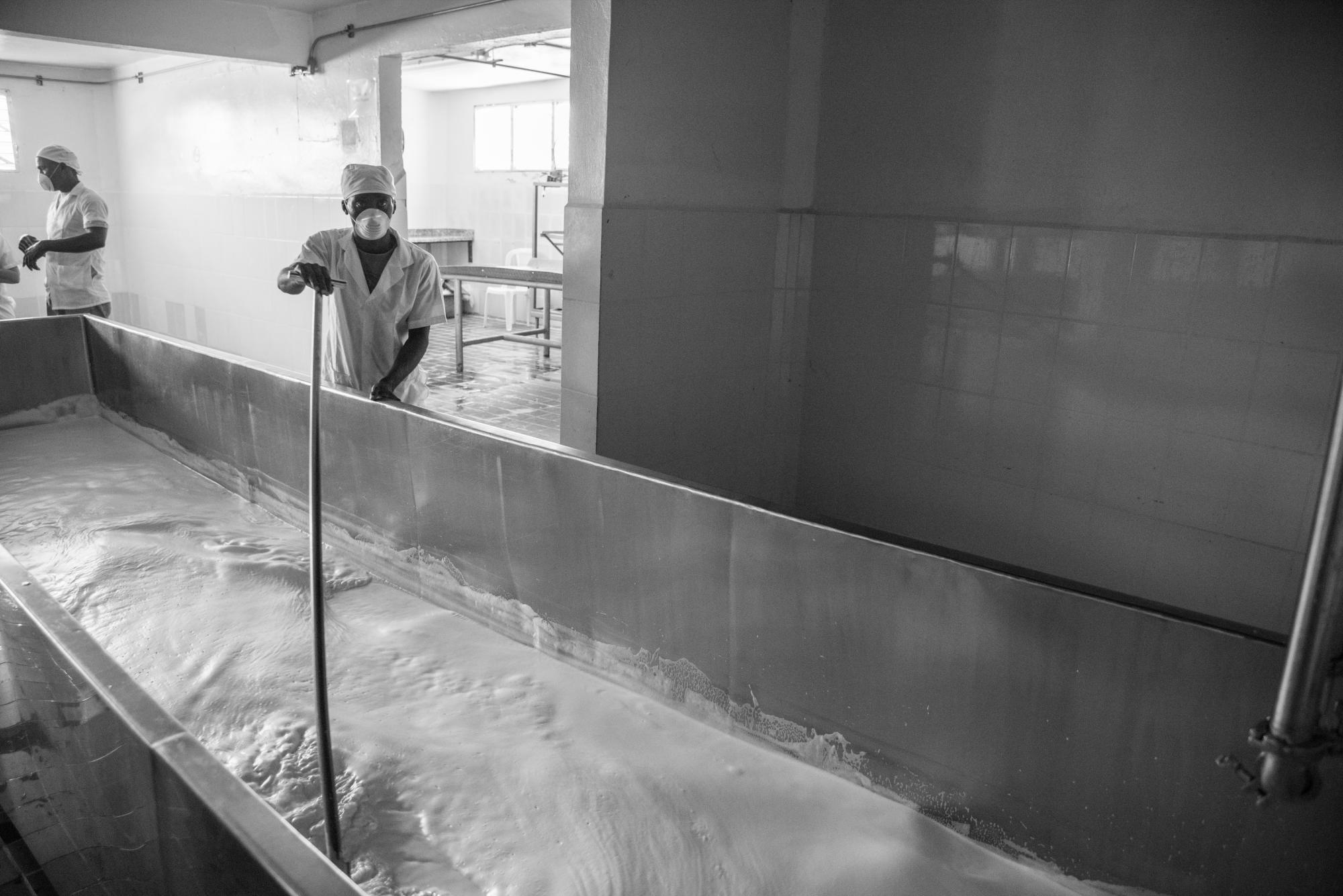 Un trabajador procesa la leche que luego se convertirá en queso. Por la ausencia de luz eléctrica deben hacerlo manualmente.