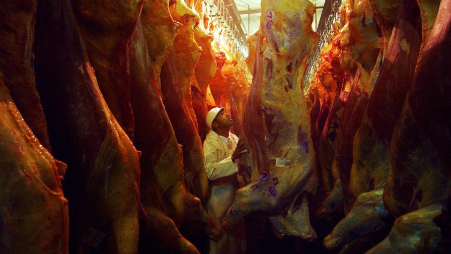 Expertos capacitarán a los productores de carne del país Expertos capacitarán a los productores de carne del país