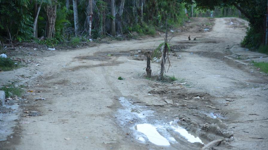 En Los Alcarrizos piden ayuda por mosquitos En Los Alcarrizos piden ayuda por mosquitos