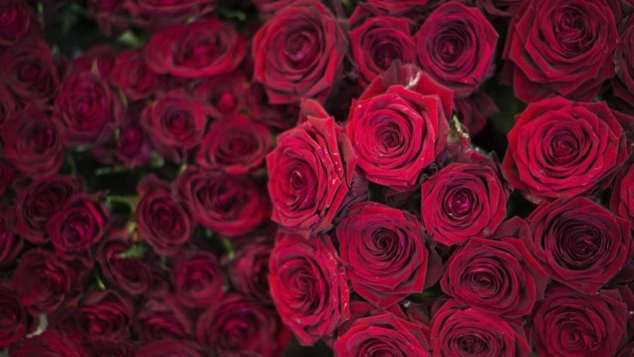 Flechazos “online” de Cupido promueven celos y divorcios