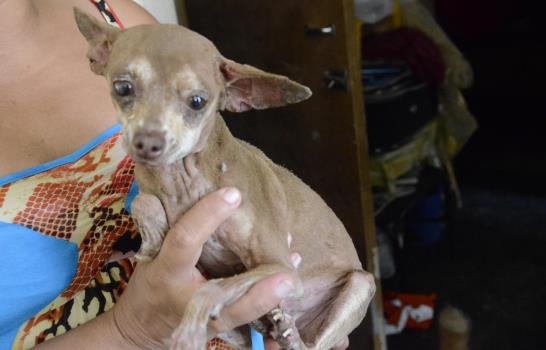 Un panorama desolador el día siguiente a la explosión de la envasadora de gas