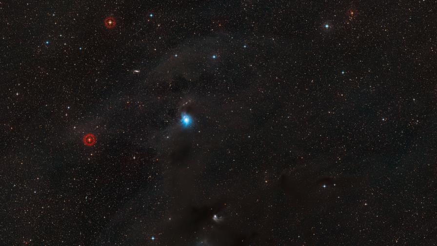 El cielo que rodea a la nebulosa de reflexión IC 2631