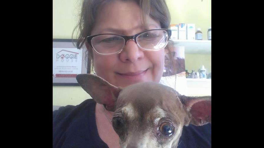 “Chiqui”, la perrita “heroína” ya está en manos profesionales 