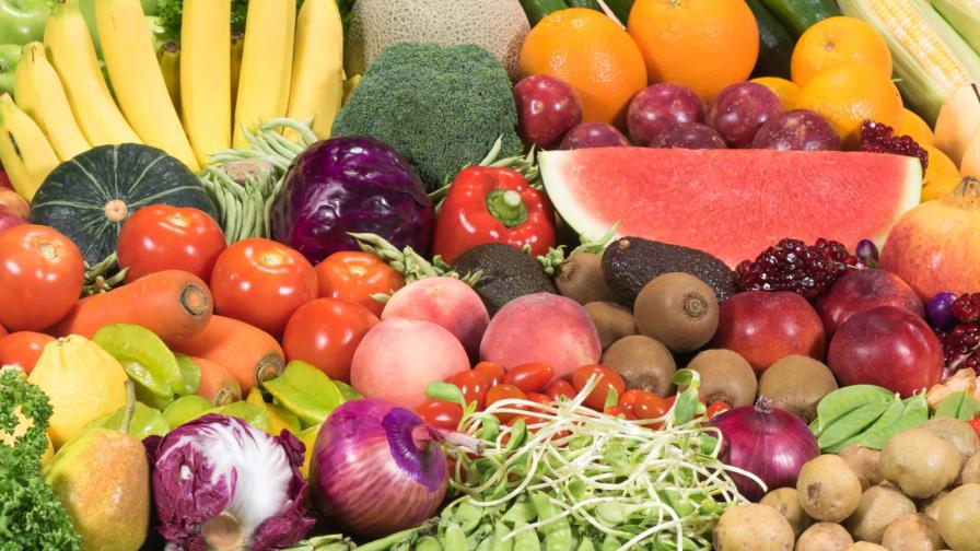 Hambre oculta produce ausencia        de nutrientes 