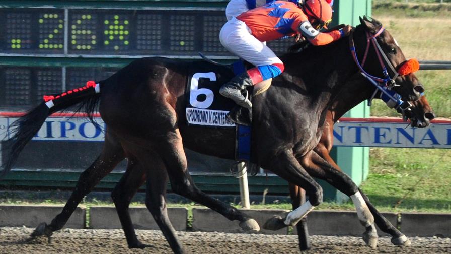 Yegua Dominicana Soy gana estelar en el hipódromo V Centenario