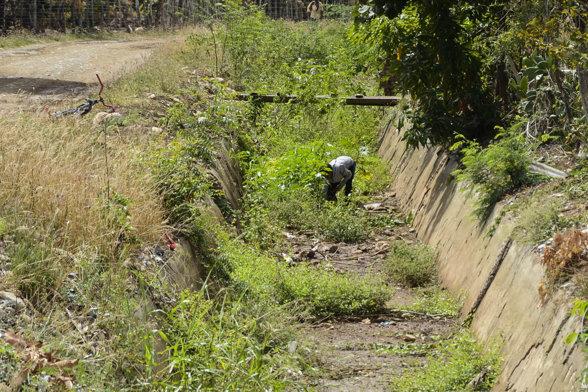 Un hombre escarba en la maleza crecida en el canal Marcos A. Cabral.