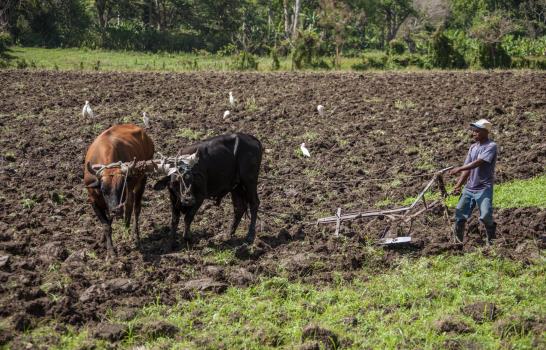 La garza ganadera cumple 60 años en La Hispaniola La garza ganadera cumple 60 años en La Hispaniola