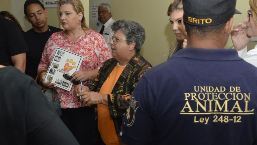 Denuncian que matanzas masivas de animales son frecuentes en la Ciudad Ganadera Denuncian que matanzas masivas de animales son frecuentes en la Ciudad Ganadera