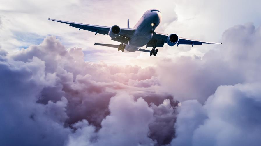 Rata obliga a un avión a regresar a tierra