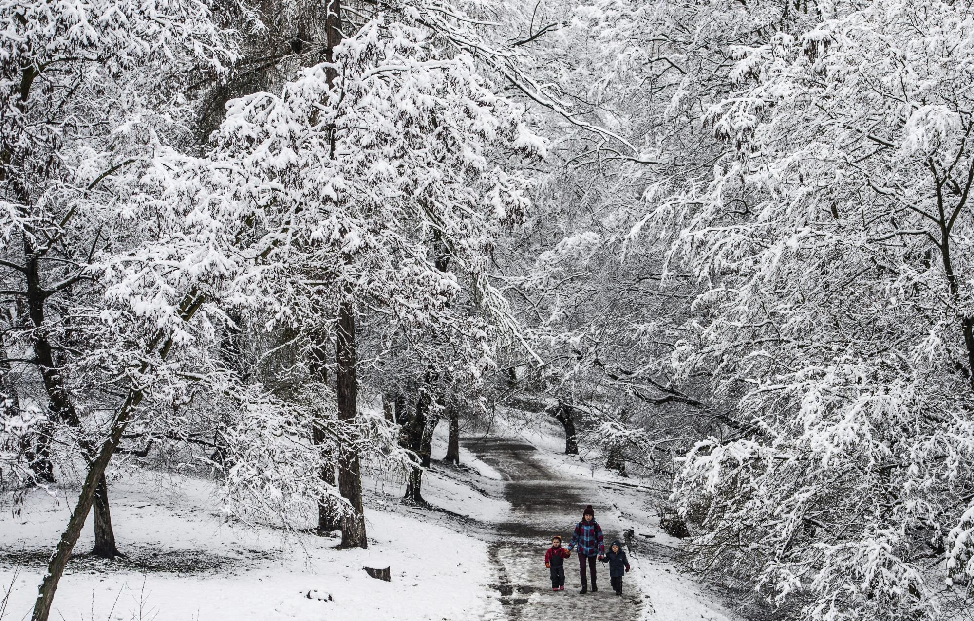 Nevada en Praga Nevada en Praga