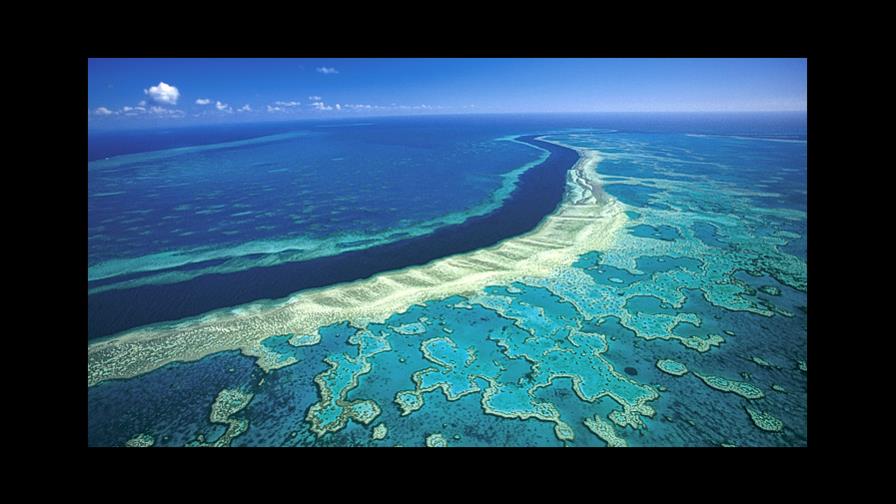La Gran Barrera de Coral de Australia pierde color debido al calentamiento