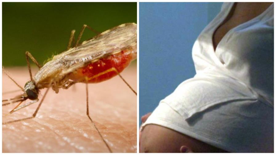 OMS: Pruebas sobre relación de zika y microcefalia aún no son definitivas