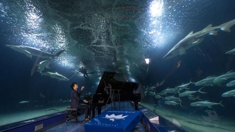 Lang Lang, el pianista que ‘puso a bailar’ tiburones 