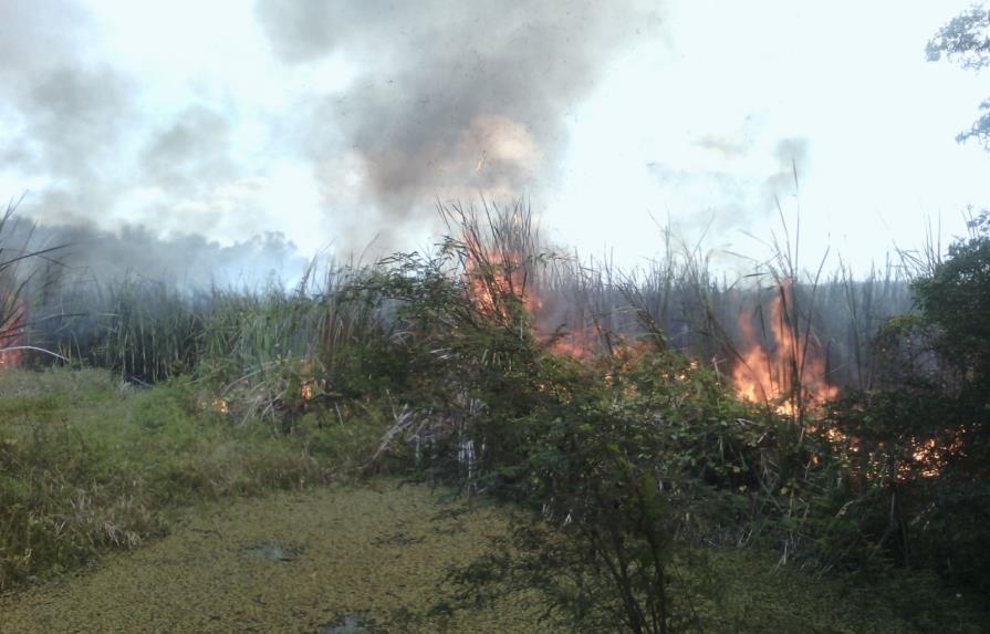 Fuego forestal afecta área boscosa de la Laguna de Saladillo 