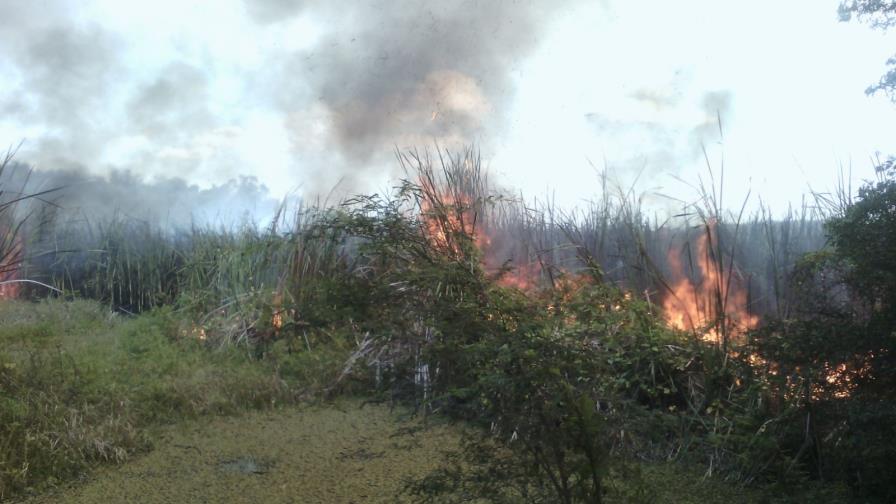Fuego forestal afecta área boscosa de la Laguna de Saladillo Fuego forestal afecta área boscosa de la Laguna de Saladillo