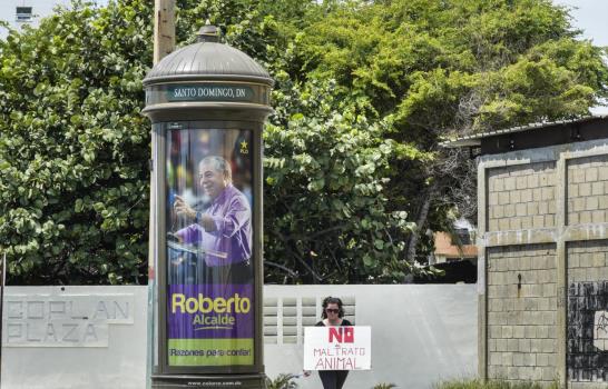 Candidatos del PLD dominan espacios publicitarios en las calles y avenidas