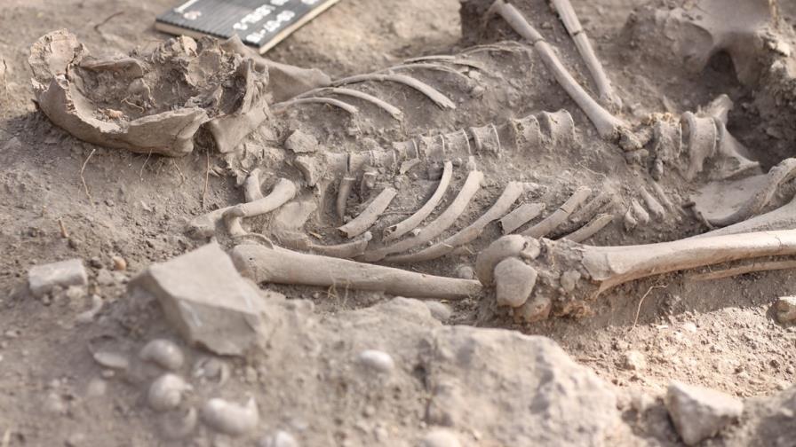 Descubren 200 nuevos asentamientos indígenas en República Dominicana