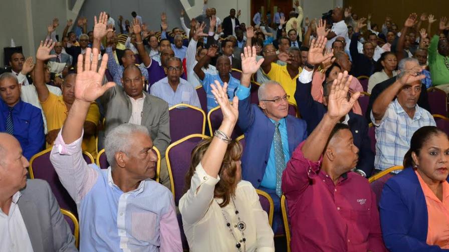 El PLD oficializa las candidaturas a nivel municipal El PLD oficializa las candidaturas a nivel municipal