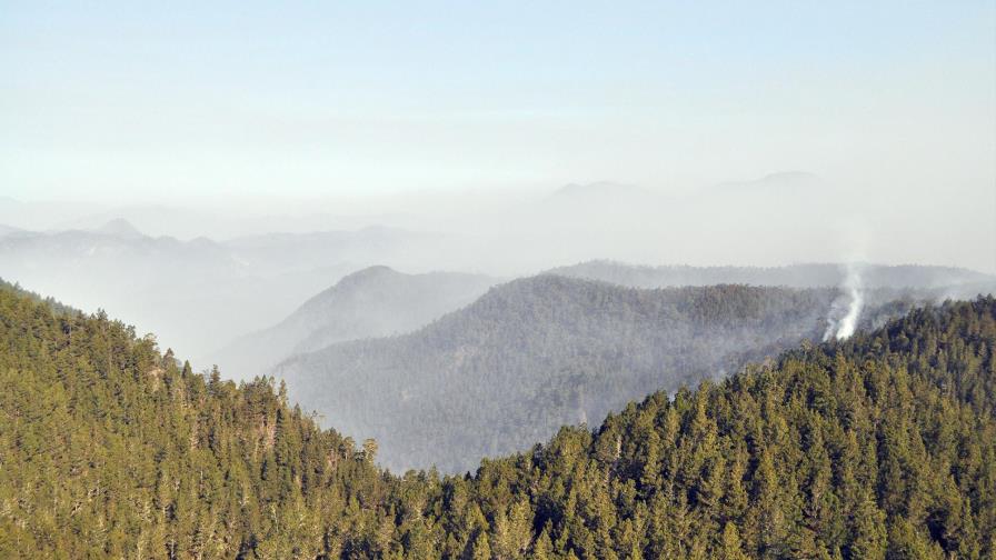 Árboles permiten analizar una reducción de los huracanes entre 1645 y 1715