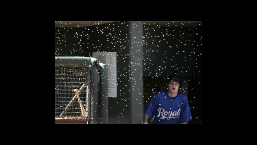 Luego que las abejas lo permiten, Vólquez luce en la lomita 