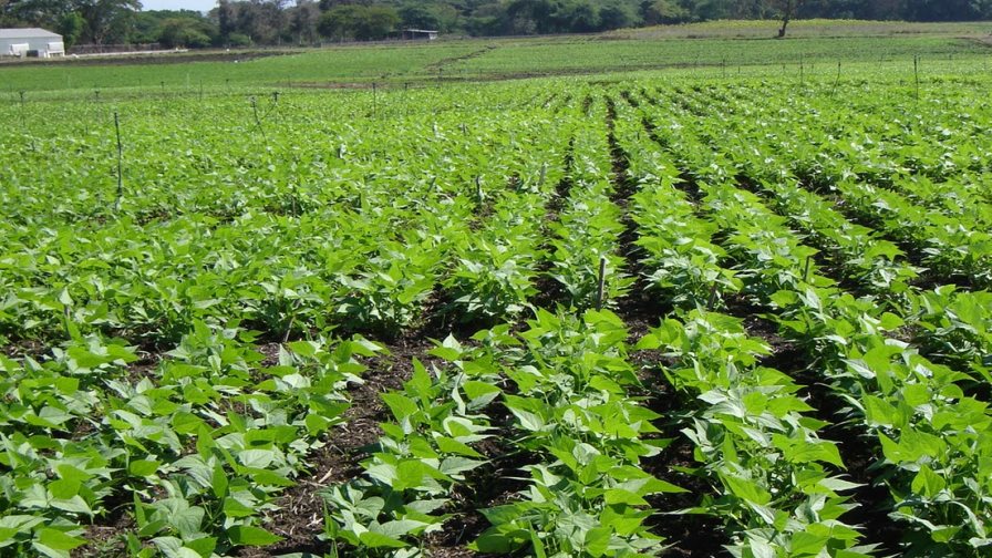 El Gobierno  ha prestado RD$63,582.8 millones