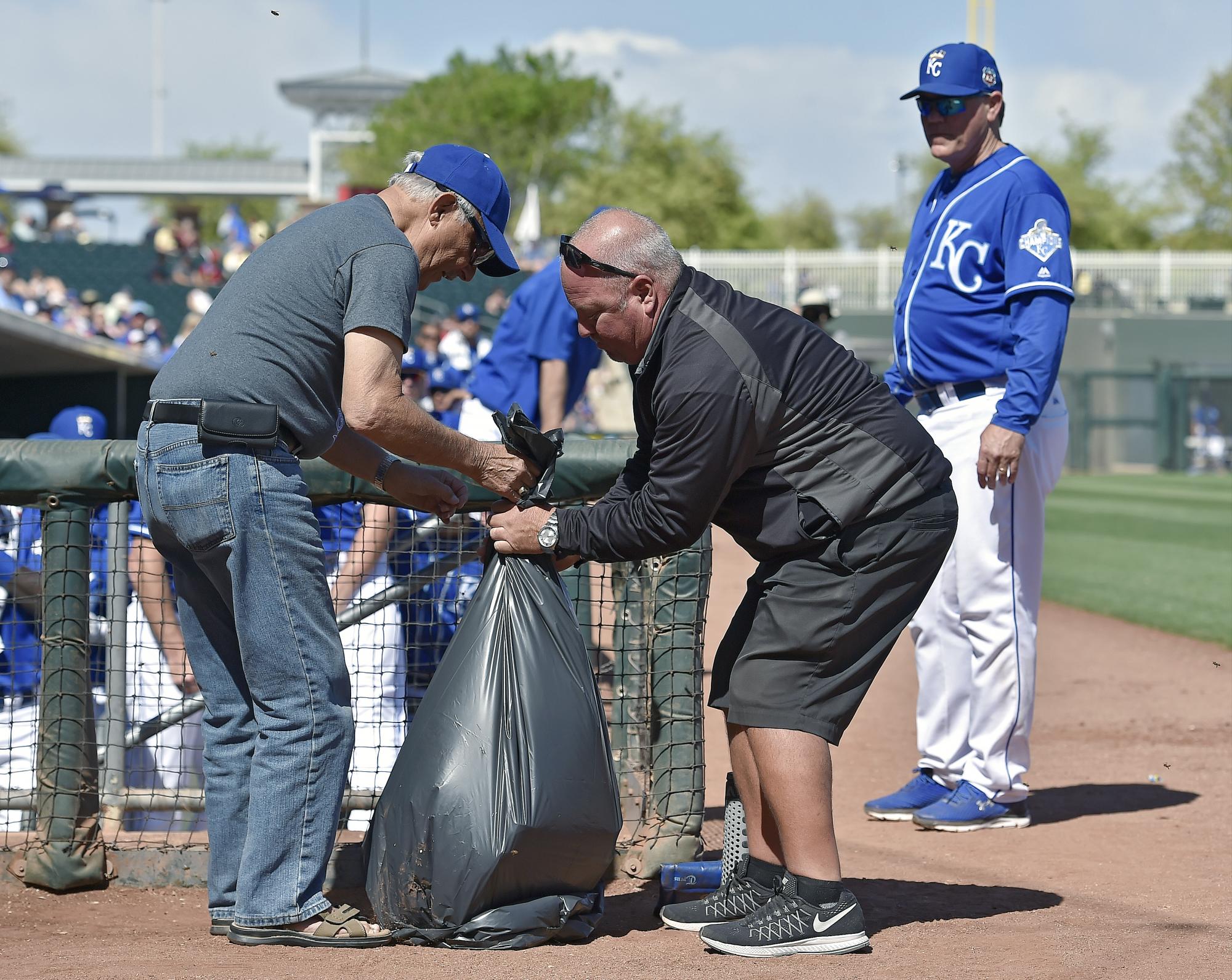 Finalmente todo se resolvió para que el juego entre Rockies y Reales continuara, cuando Lowell Hutchison, izquierda, un retirado apicultor de St. Joseph, Missouri, ayudó a embolsar el enjambre de abejas que se colocó en un bulto cerca del dugout  de los Reales. El mánager Ned Yost, a la derecha, observa.