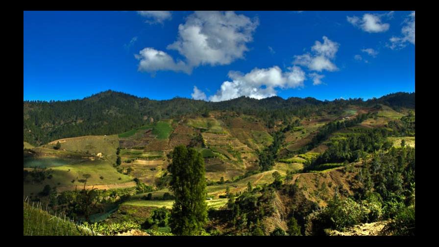 Protegerán bosques de Constanza