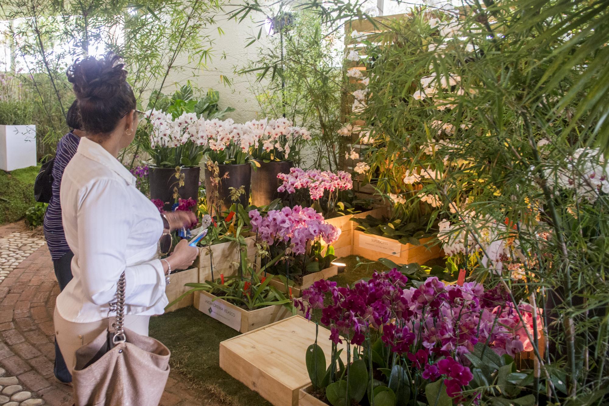 Parte del público asistente 