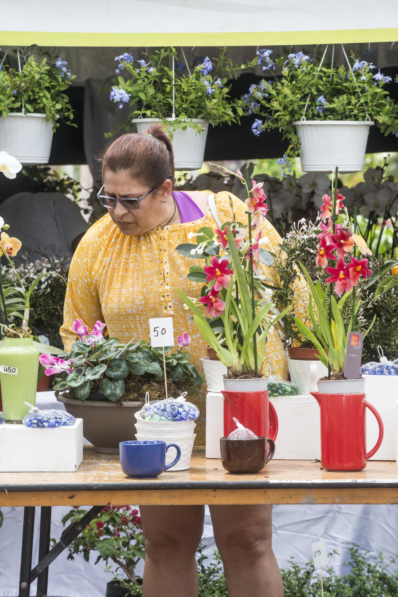 Publico comprando orquídeas