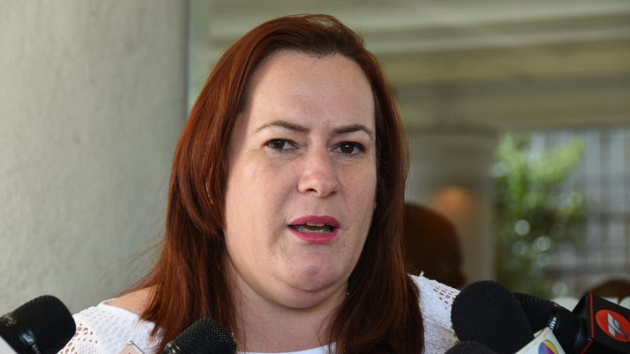 Yanet Camilo: Los partidos políticos tienen que dejar de llevar carteles como candidatos