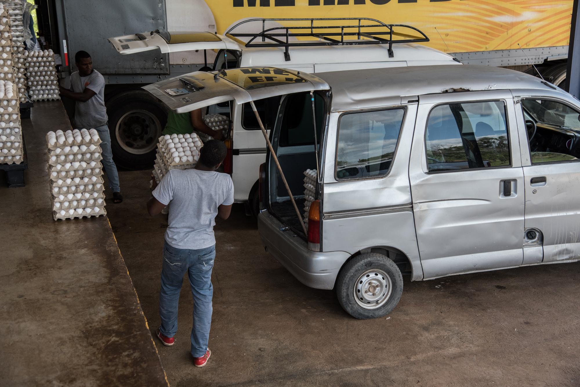 Empleados de un colmado recogen una orden de huevos que venderán en el establecimiento.