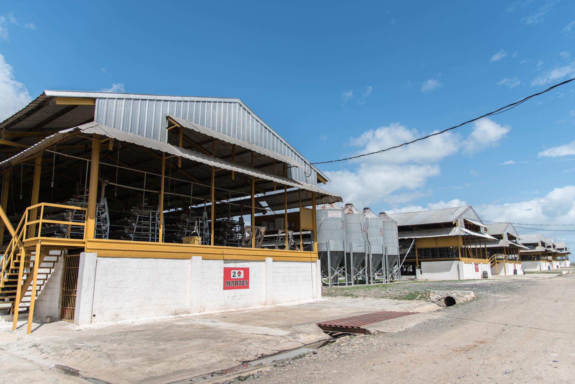 Naves donde están alojadas las gallinas ponedoras.