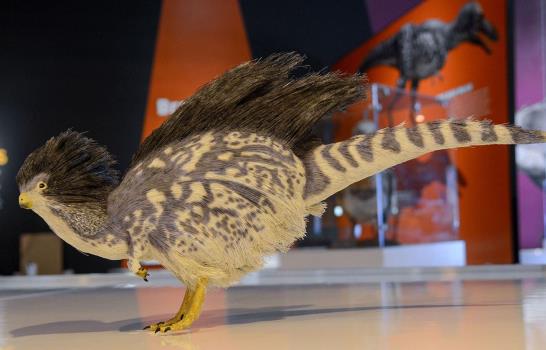 Los dinosaurios nunca se extinguieron, viven entre nosotros