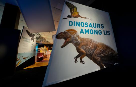 Los dinosaurios nunca se extinguieron, viven entre nosotros