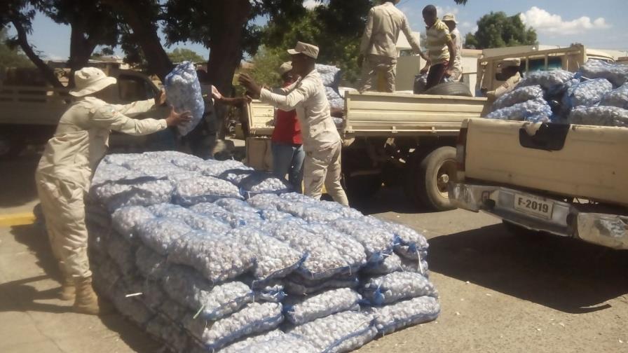 Ocupan 400 sacos de ajo trajeron ilegal de Haití