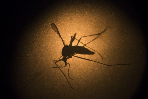 Mujer con zika da a luz a bebé sano en Puerto Rico 