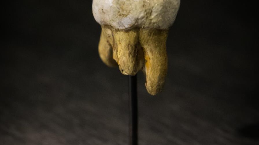 Isleños de Oceanía muestran similitud genética con el homínido de Denísova