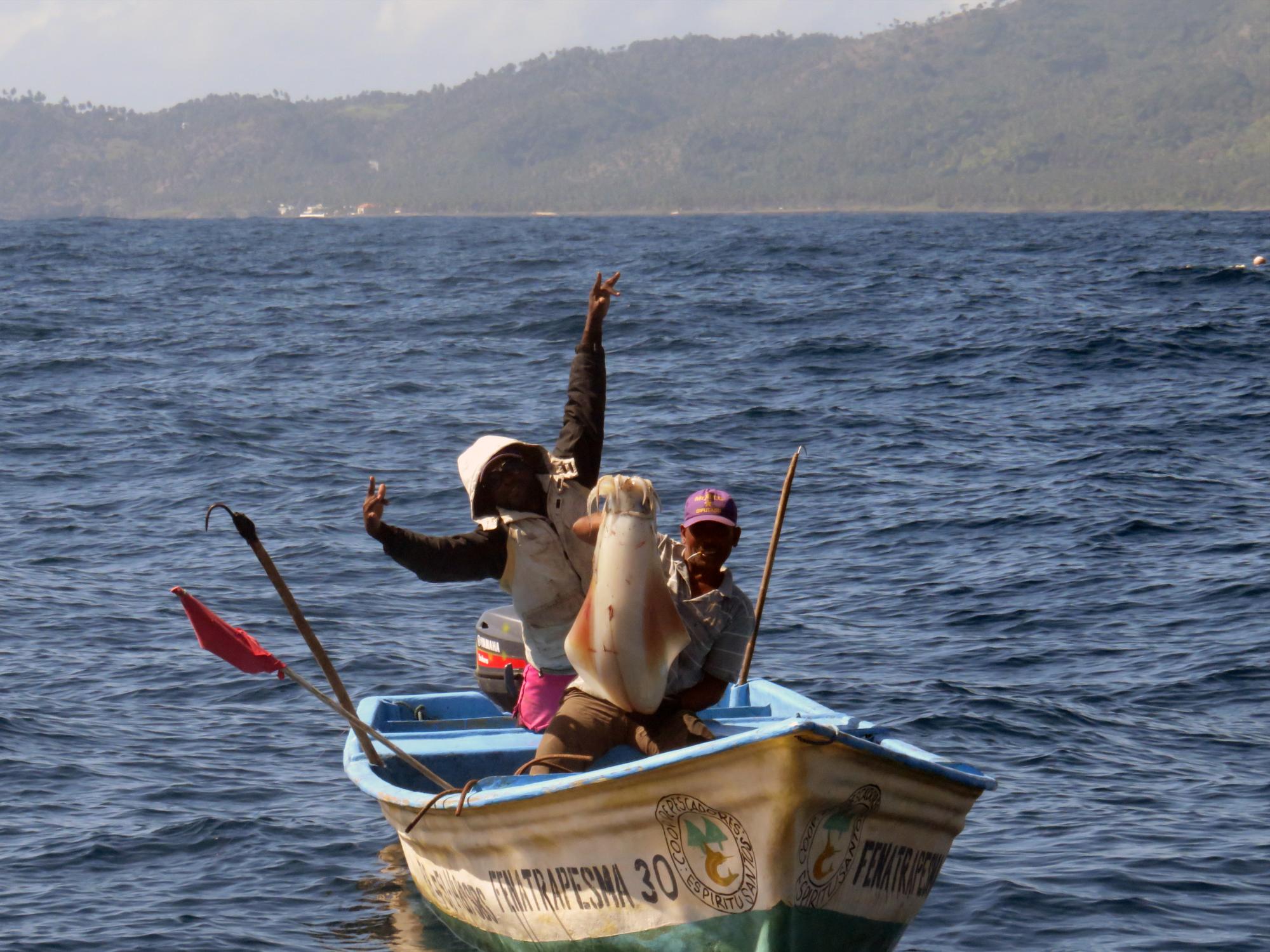 Dos pescadores muestran un calamar diamante capturado en Samaná.