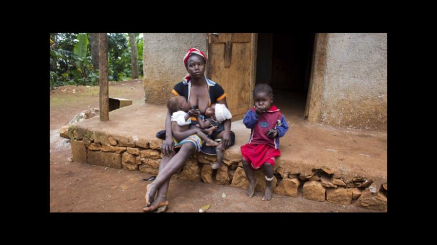 La ONU insta a invertir en la agricultura para frenar la hambruna mundial