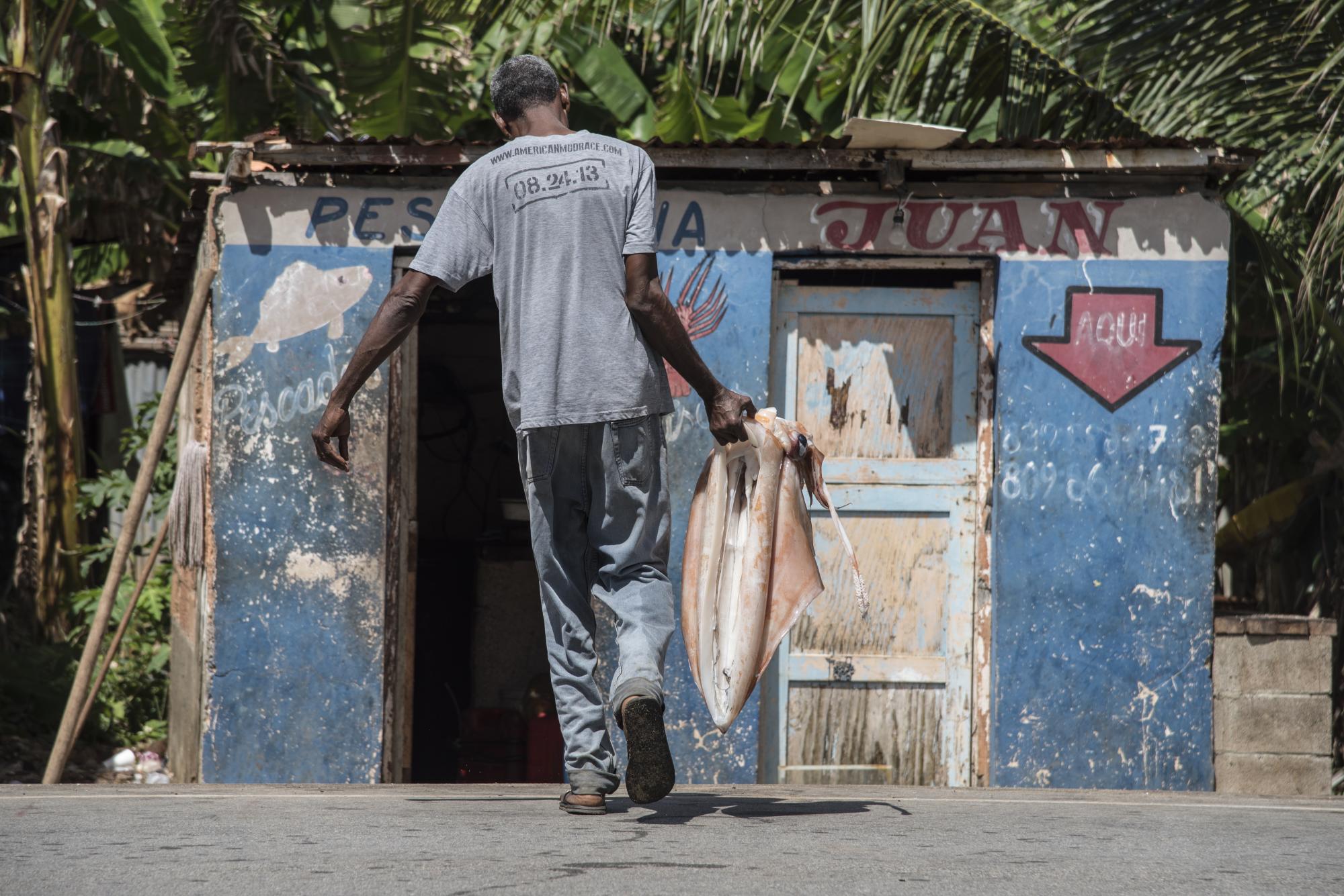 Los Calamares son congelados y almacenados en pescaderías esperando ser vendidos a intermediarios. 