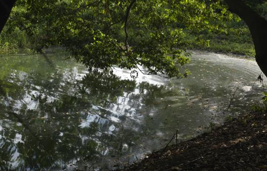 Ossaye Casa de Arte anuncia Colectiva fotográfica “Brillantez”