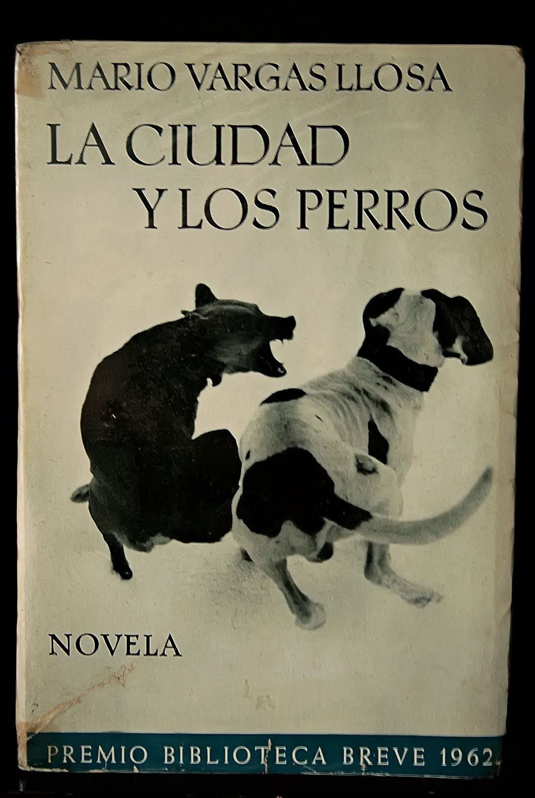 Libro: “La ciudad y los perros”