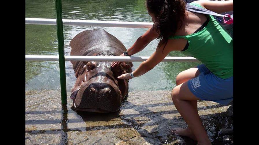 “Juancho” y “Paquita”, un ejemplo de amor en un parque del Caribe de Honduras