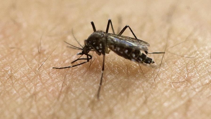 EE.UU. emite nuevas recomendaciones para evitar transmisión sexual del zika 