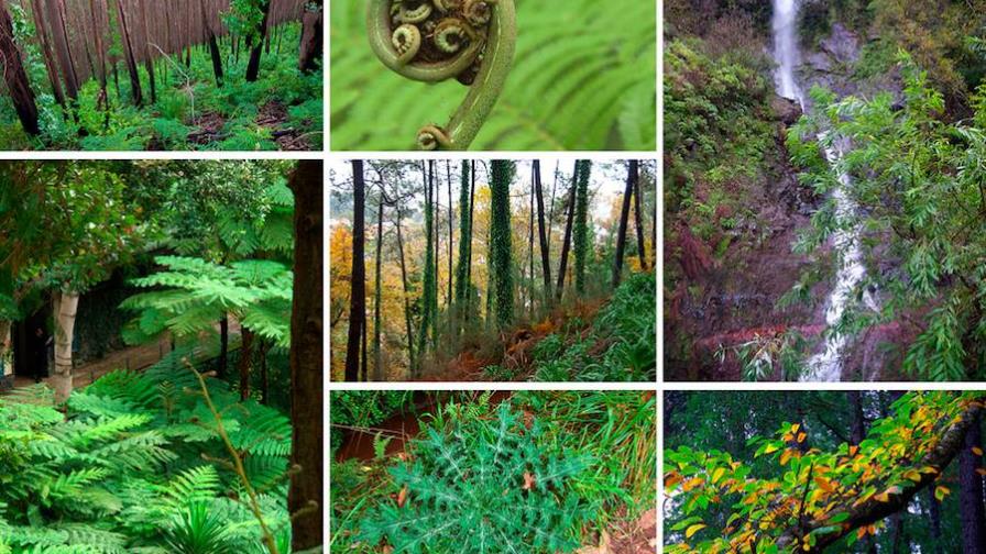 Conozca las 20 nuevas joyas de la naturaleza protegidas por la Unesco Conozca las 20 nuevas joyas de la naturaleza protegidas por la Unesco