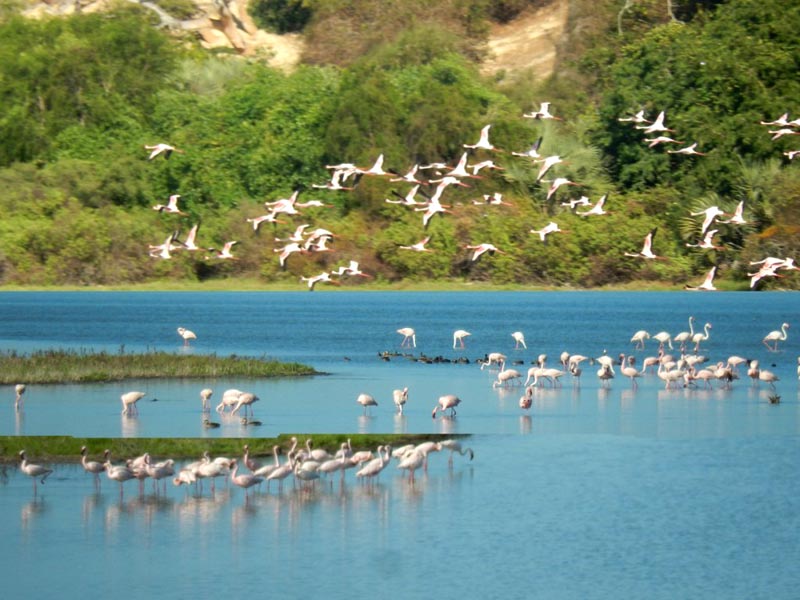 Belo-sur-Mer-Kirindy-Mitea