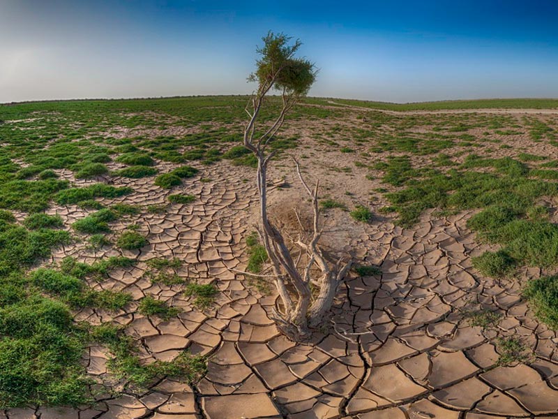 Hamún (República Islámica del Irán)